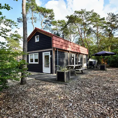 Modern On The Edge Of The Veluwe In A In A Wooded Area *