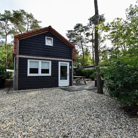 Modern On The Edge Of The Veluwe In A In A Wooded Area * Doornspijk