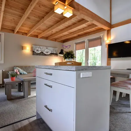 Modern On The Edge Of The Veluwe In A In A Wooded Area Holiday home *